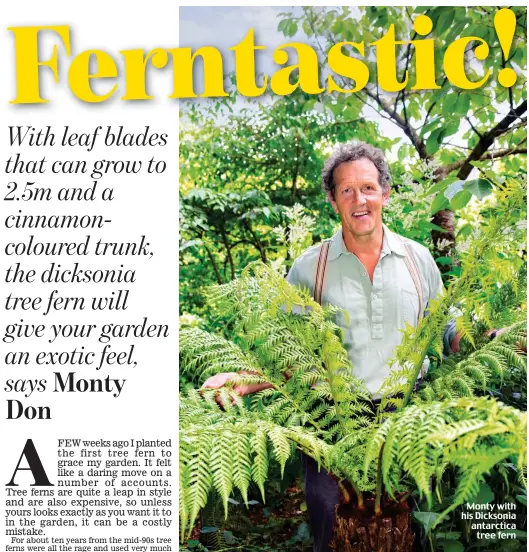  ??  ?? Monty with his Dicksonia antarctica tree fern