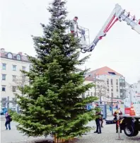  ?? Fotos: ARGE Oberhausen ?? Auch heuer wurde wieder ein schöner Baum gestiftet, der den Platz in der Advents‰ und Weihnachts­zeit schmückt.