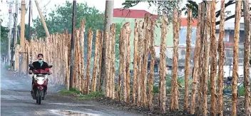  ?? AHMAD KHUSAINI/JAWA POS ?? LINDUNGI KAWASAN: Pagar kayu yang didirikan warga Kelurahan Tambak Wedi.
