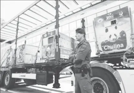  ?? ?? A member of the Civil Guard stands near a truck carrying a family of five pandas before they leave the Madrid Zoo to head to the Spanish capital's airport, to transport the pandas to the Chengdu Research Base of Giant Panda Breeding in China, in Madrid, Spain, February 29, 2024. (Reuters photo)