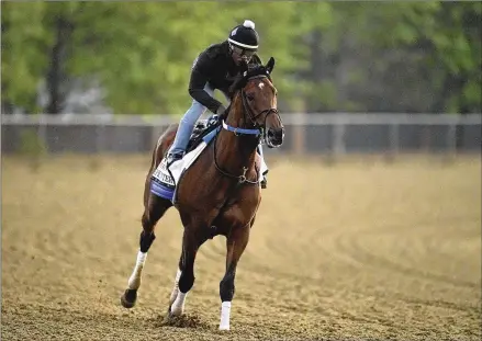  ?? JULIO CORTEZ/ASSOCIATED PRESS ?? Kentucky Derby runner-up Epicenter gallops during a morning workout Thursday in preparatio­n for the Preakness Stakes at Pimlico Race Course in Baltimore. With Derby winner Rich Strike skipping the race, Epicenter is considered the horse to beat.
