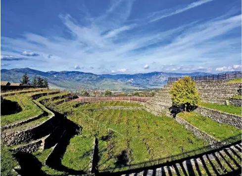  ??  ?? Above: terraced vineyards on Mount Etna, Sicily