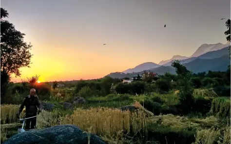  ??  ?? A farmer busy working in his field, as the sun starts setting in Palampur, Himachal Pradesh, on Thursday. IANS