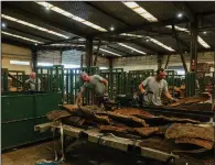  ?? (The Washington Post/Jose Sarmento Matos) ?? Workers select cork at the Amorim factory in Coruche, Portugal.