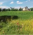  ?? Foto: Veh ?? Auf dieser Wiese wurde der Säugling von seiner Mutter ausgesetzt.