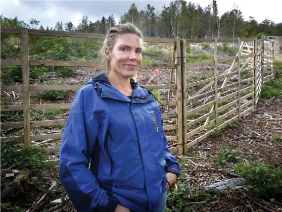  ?? Bild: ANNIKA KARLBOM ?? SKYDDAR LÖVSKOGEN. Christina Bengtsson i Långås är den första i Sverige som fått bidrag för att skydda sin nyplantera­de lövskog med ett stängsel av trä.