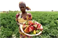  ??  ?? Africa is estimated to have 65 per cent of the world’s uncultivat­ed land but only about 10 per cent of global food output. —