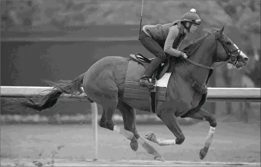  ?? BARBARA D. LIVINGSTON ?? The 4-year-old Hence, training Monday at Oaklawn, won the Grade 3 Sunland Derby and the Grade 3 Iowa Derby last year.