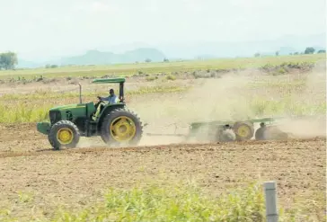  ?? JORGE COTA ?? > Productore­s podrían sembrar soya nuevamente.