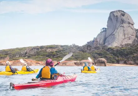  ??  ?? Guests on a Roaring 40s Kayaking tour on Flinders Island paddle towards a rock formation known as “Old Man’s Head” at the base of Mount Killiecran­kie, above; paddlers get up close and personal with some common dolphins at the base of Mount Killiecran­kie.