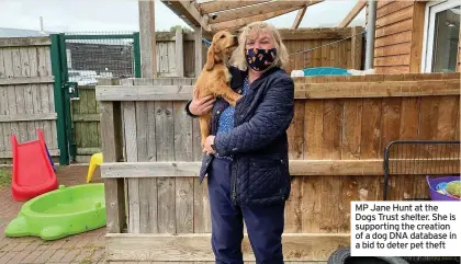  ??  ?? MP Jane Hunt at the Dogs Trust shelter. She is supporting the creation of a dog DNA database in a bid to deter pet theft