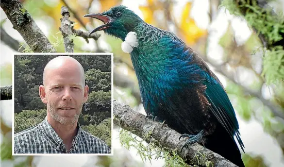  ?? SARAH J. WELLS, ALISON BALANCE/RNZ ?? Massey University associate professor James Dale lead a study of birds’ plumage colouratio­n.