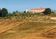  ??  ?? Gallery Dall’alto: la piscina con cipressi del Podere Le Tassinaie, una delle stanze dell’agriturism­o e l’esterno