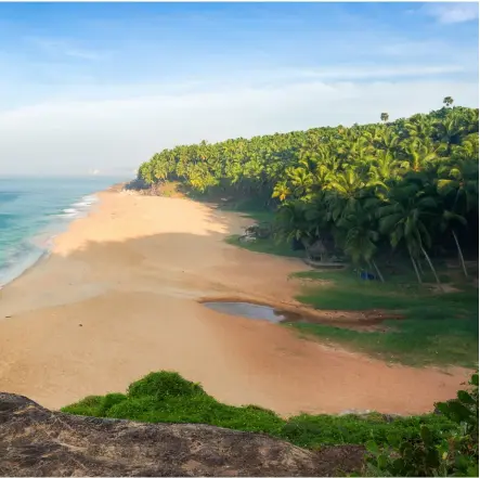  ?? Image Shuttersto­ck ?? BOTTOM Morning on the beach in Kerala,India