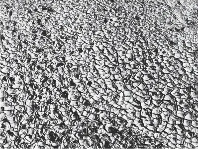  ?? Associated Press ?? ■ This June 22 image shows what is left of the cracked mud left behind as the Rio Grande dries near San Antonio, N.M. Federal water managers said a total of nearly 30 miles of the river have dried in central New Mexico due to drought. Managers,...