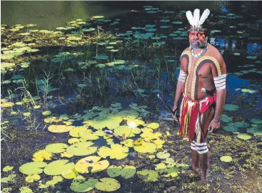  ?? Picture: MARC McCORMACK ?? FOCUS ON CULTURE: Indigenous tourism is set to boom in FNQ.