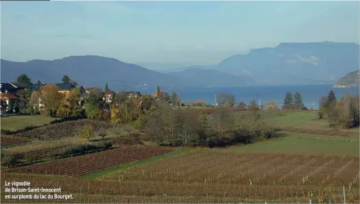  ??  ?? Le vignoble de Brison-Saint-Innocent en surplomb du lac du Bourget.