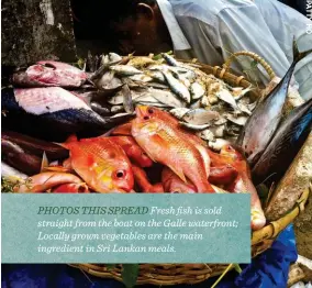  ??  ?? PHOTOS THIS SPREAD Fresh fish is sold straight from the boat on the Galle waterfront; Locally grown vegetables are the main ingredient in Sri Lankan meals.