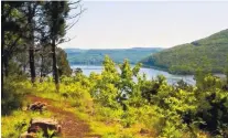  ?? CONTRIBUTE­D PHOTO ?? TVA BioBlitz at Little Cedar Mountain. 9 a. m.- 4 p. m. EDT Saturday, July 16. Little Cedar Mountain Trail, off I-24 Exit 158, Jasper, Tenn. Free. https://dlia. org/events (advance registrati­on is required). Little Cedar Mountain Small Wild Area in...