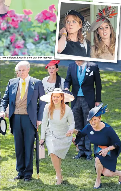  ??  ?? In paradise...Fergie and Beatrice joke with Queen in royal box yesterday and, right, how different it was in their own box last year Prince Andrew doffs his hat, Beatrice curtsies and Fergie drops almost to the ground as the Queen passes