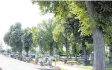  ?? FOTO: JUBL ?? Da bei Sturmtief Sabine ein Baum am jüdischen Friedhof umstürzte, ließ der Riesbürger Gemeindera­t die Bäume auf ihre Verkehrssi­cherheit prüfen.