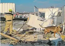  ?? FOTO HZS ?? Záchranné práce. Čeští hasiči a jejich psi při práci ve výbuchy poničeném Bejrútu. Na snímku vpravo jsou zachyceni před zdemolovan­ým obilným silem, které v přístavu libanonské metropole před 50 lety postavil pardubický Průmstav.