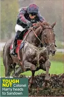  ?? ?? TOUGH NUT Colonel Harry heads to Sandown