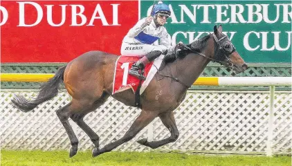  ?? PHOTO: RACE IMAGES. ?? Accelerant . . . Star 3yrold Catalyst wins the group 1 Two Thousand Guineas at Riccarton on Saturday for rider Troy Harris.