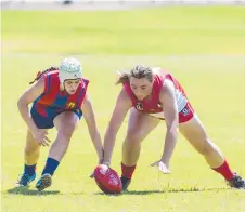  ??  ?? CLOSE BATTLE: Downlands College player Lauren Fraser (left) and Dalby Swans Bridgette Webber battle for the ball during round 2 of the AFL Darling Downs under-17 youth girls competitio­n. Picture: Kevin Farmer