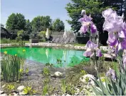  ?? ?? Smell the flowers, not the chemicals: soak up the natural beauty of the pool at La Jument Verte in Aix-les-Bains in France