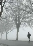  ?? Foto: Leitensdor­fer ?? Morgens ist es lange dunkel, und schon ab Nachmittag ist die Sonne weg – wenn sie sich überhaupt zeigt. Das schlägt manchen Menschen aufs Gemüt.