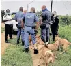  ?? TANYA WATERWORTH ?? POLICE officers hand the search warrant to RSL Dog Shelter co-founder Clutz Cloete. l