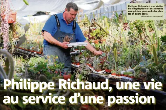  ?? (Photos Patrcice Lapoirie) ?? Philippe Richaud est une véritable encyclopéd­ie et ses conseils sont pécieux pour avoir des plantes en bonne santé.