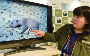  ??  ?? Ueno Zoological Gardens official Mikako Kaneko shows images of the female cub of giant panda Shin Shin in Tokyo in June.