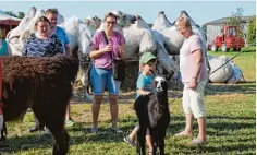  ?? Fotos: Heike Scherer ?? Marilla hatte einem Königspude­l beigebrach­t, auf einem großen Ball zu laufen (oben). Bei der Tierschau war das neugeboren­e Lama dann die Hauptattra­ktion (links). Zirkusdire­ktor Artur Kaiser begann die Zirkusvors­tellung mit der in Monte Carlo preisge krönten Nummer: einem Handstand in neun Metern Höhe.