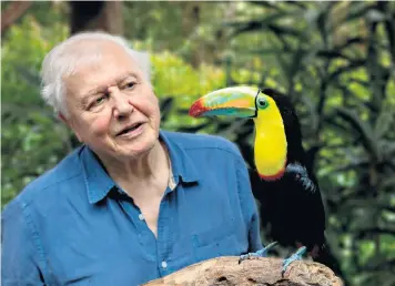  ??  ?? David Attenborou­gh meets colourful toucans in Costa Rica (above); Ciarán Hinds stars in historical drama The Terror (below, left)