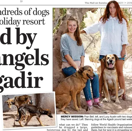  ??  ?? MERCY MISSION: Fran Bell, left, and Lucy Austin with two dogs they have saved. Left: Starving dogs at the Agadir pound last week