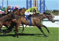  ??  ?? Legal Eagle shows his class and fights hard to win the L’Ormarins Queen’s Plate for the third year running.