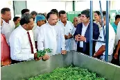 Sanmik Foods opens Rs. 700mn desiccated coconut factory, herbal ...