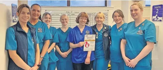  ?? ?? Dream job Jayne (fourth left) and her colleagues at the veterinary practice