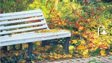  ?? DREAMSTIME ?? A place to sit and take in the surroundin­gs is guaranteed to move people along a garden path.