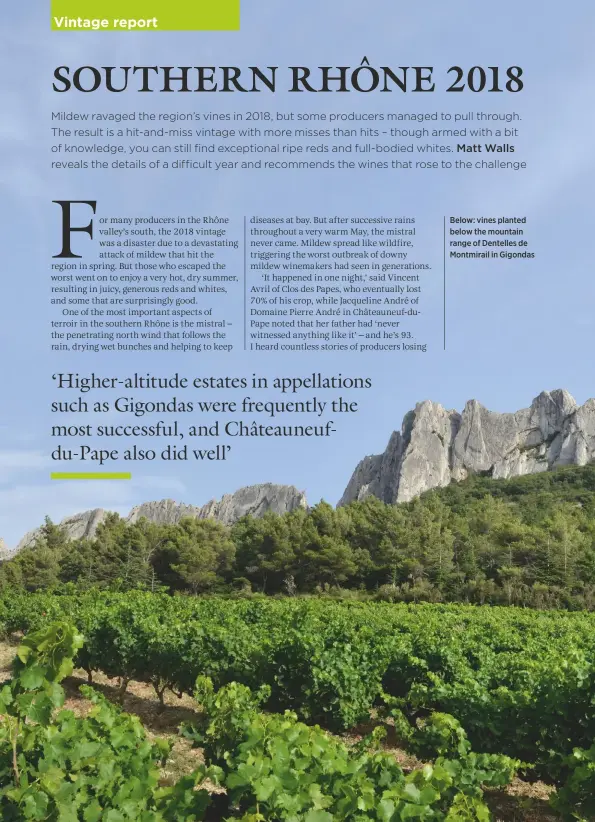  ??  ?? Below: vines planted below the mountain range of Dentelles de Montmirail in Gigondas