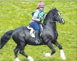  ??  ?? More than 400 horses and riders tackled the 13-mile course