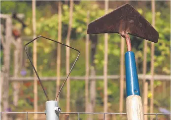  ?? AP FILE PHOTO ?? This undated photo shows garden hoes in New Paltz, N.Y. The winged weeder, right, and the wire hoe are two of a few styles of hoe that are a pleasure to use as their sharp edges run along just beneath the surface of the ground.