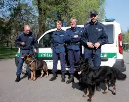  ??  ?? Già in servizio La squadra cinofila dei vigili urbani di MIlano