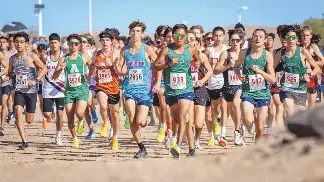 Metro cross country a blend of expected, unexpected - PressReader