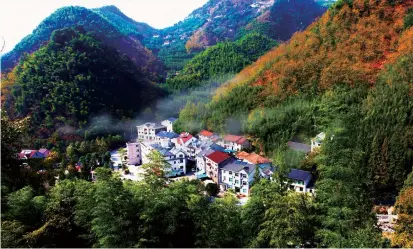  ??  ?? Above: Forest coverage in Baisha Village has reached around 97 percent.