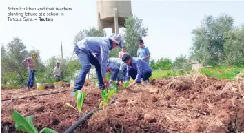  ?? — Reuters ?? Schoolchil­dren and their teachers planting lettuce at a school in Tartous, Syria.