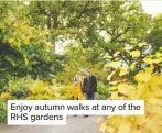  ??  ?? Enjoy autumn walks at any of the RHS gardens