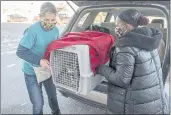  ?? THE ASSOCIATED PRESS ?? Leech Lake volunteers Cindy Ojczyk, left, and Engress Clark unload a kennel with some kittens that were abandoned in Cass Lake, Minn.